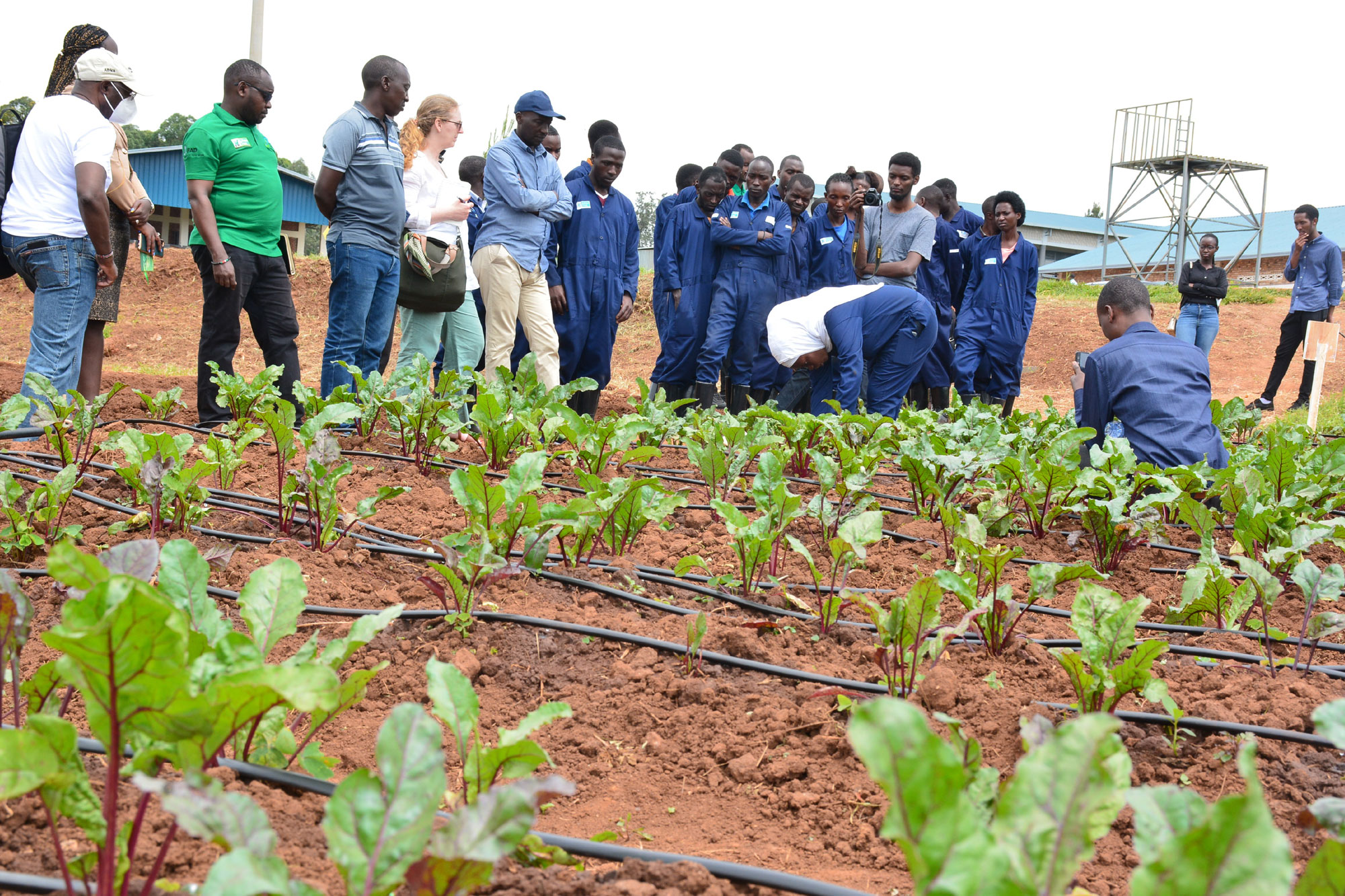 Thanks to IFAD and BMZ through Kilimo Trust in Partnership with RYAF and Rwanda Polytechnic.